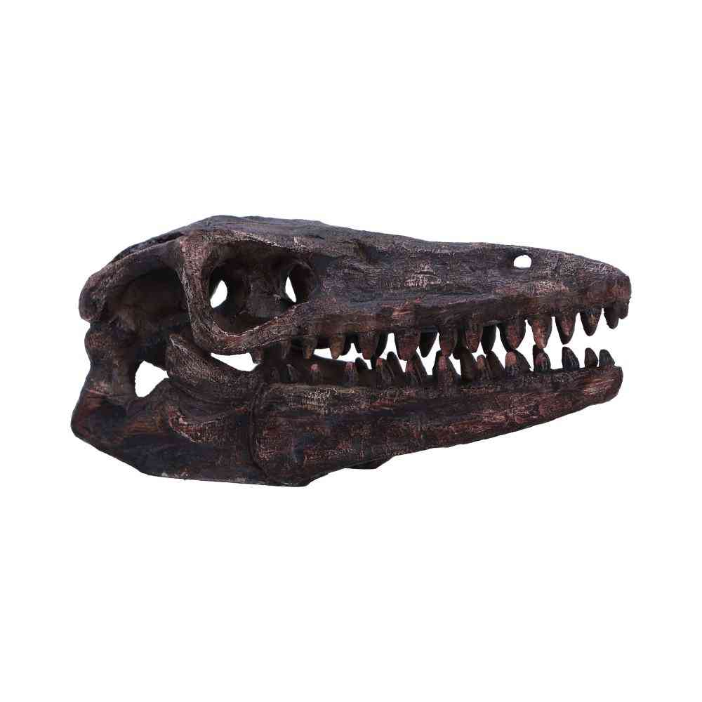 Nemesis Now - Archaeopteryx Skull 18cm Beeld/figuur - Multicolours